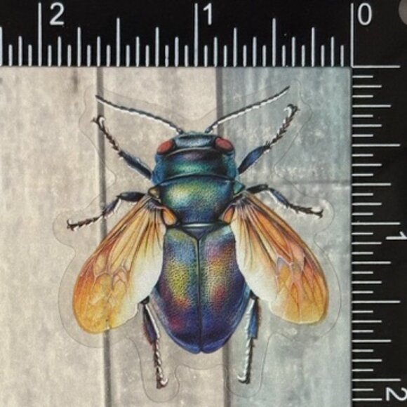 π10/$10π Translucent Moth Dragonfly Beetle Reusable Waterproof Sticker Decal - Picture 1 of 1